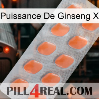 Ginseng Power X 26